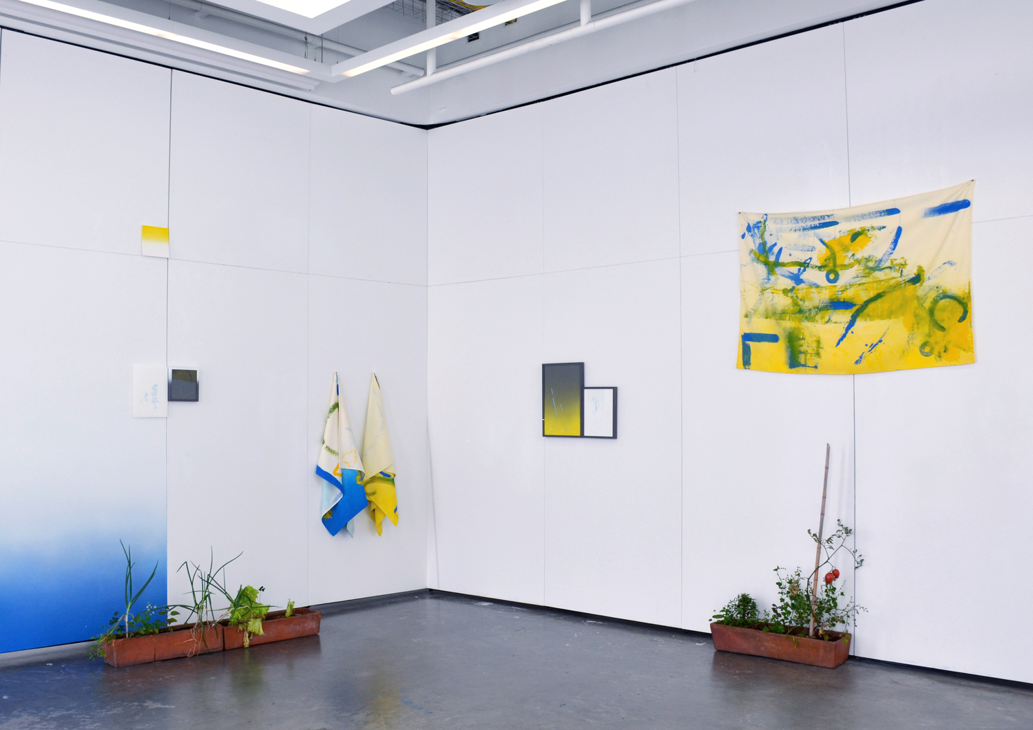 Installation