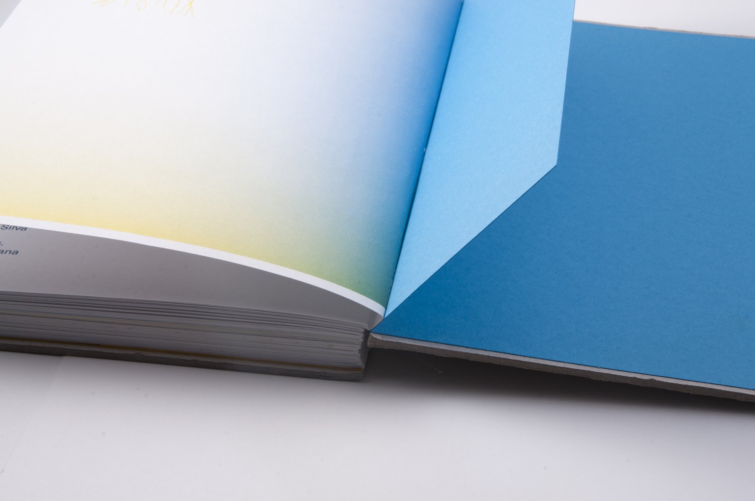 Book detail