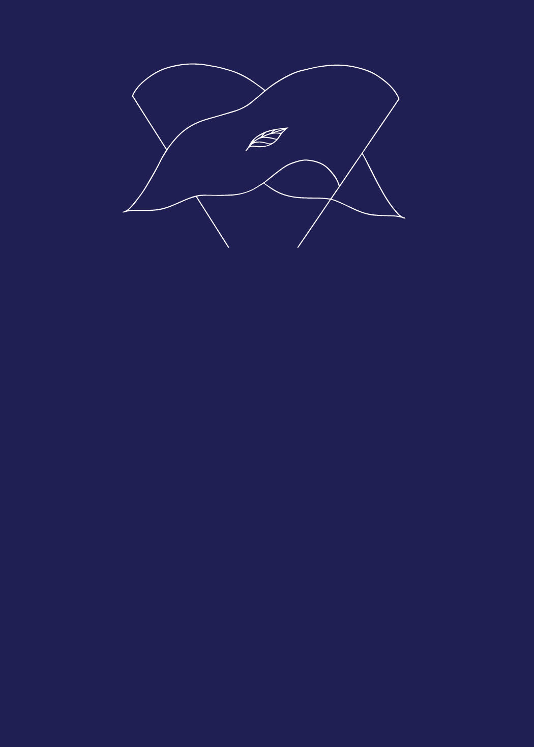 Zine