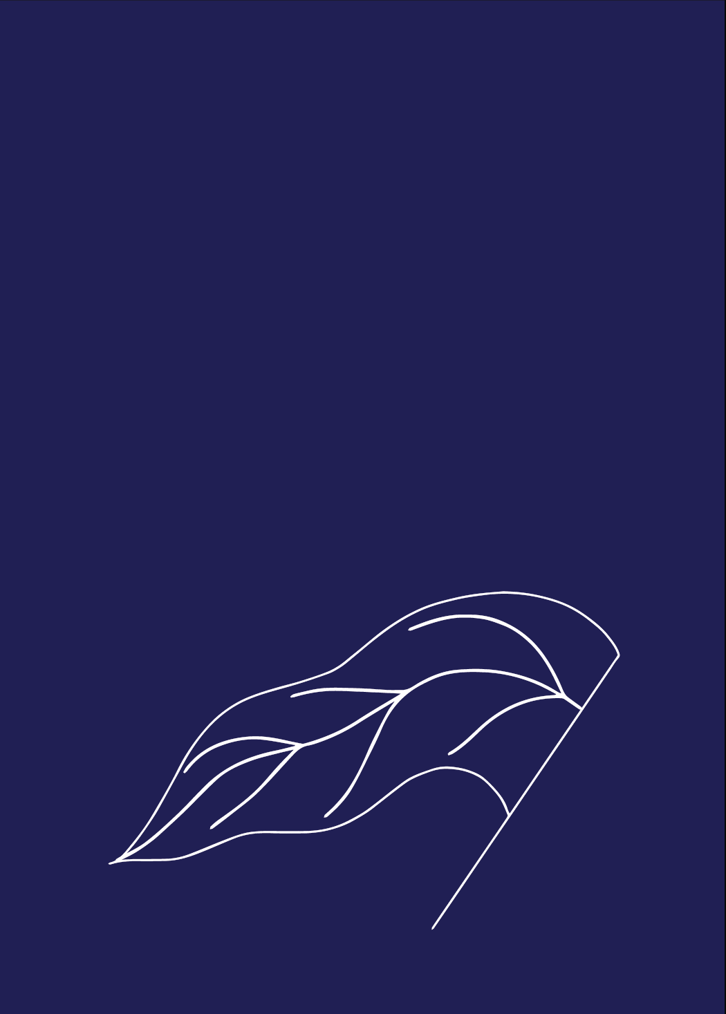 Zine