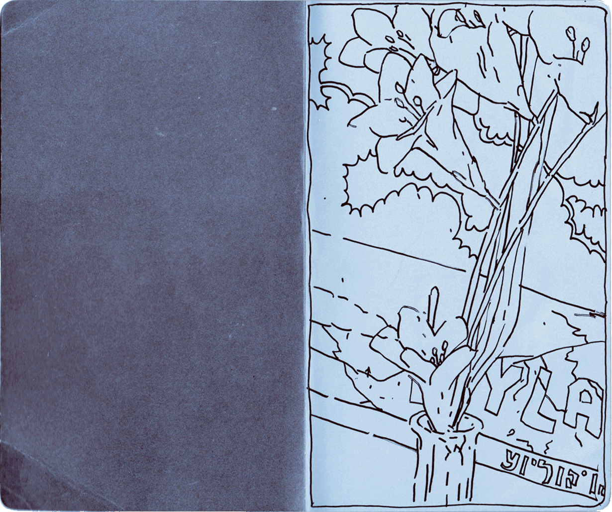 Drawing