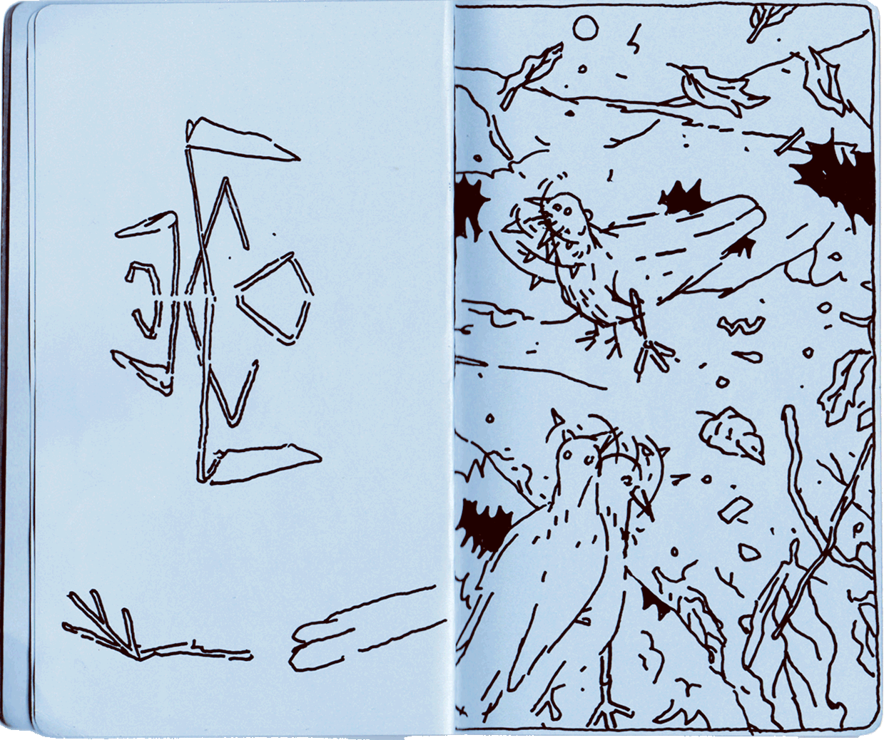 Drawing