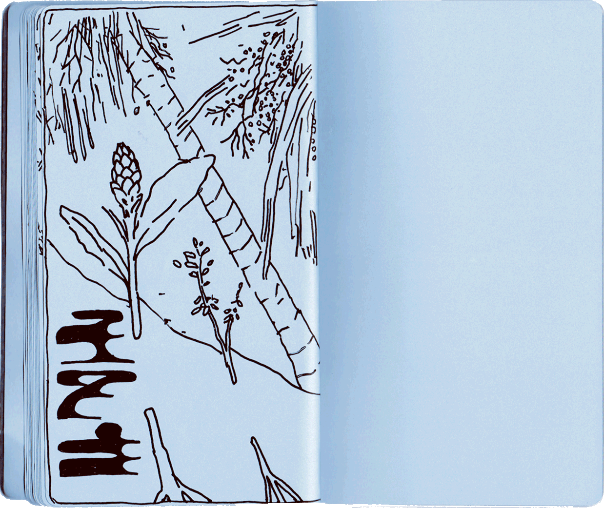 Drawing