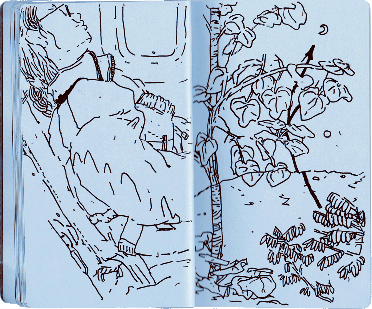 Drawing