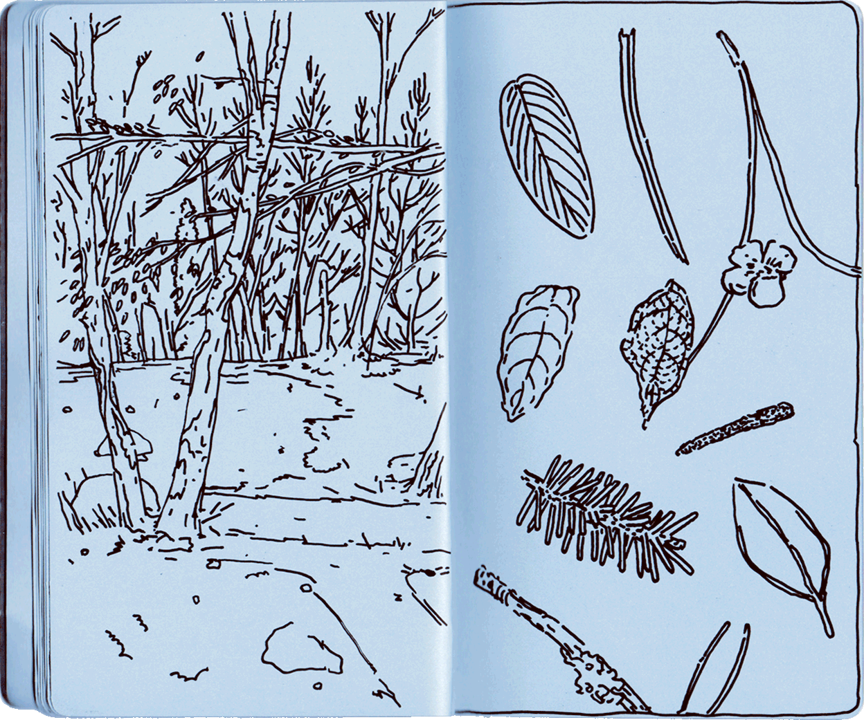 Drawing