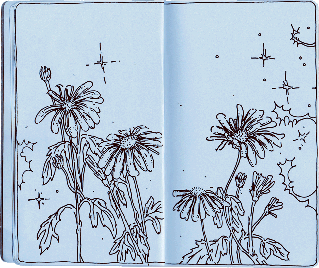Drawing