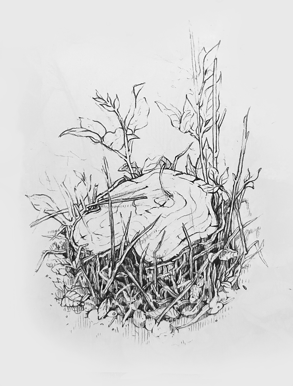 Drawing