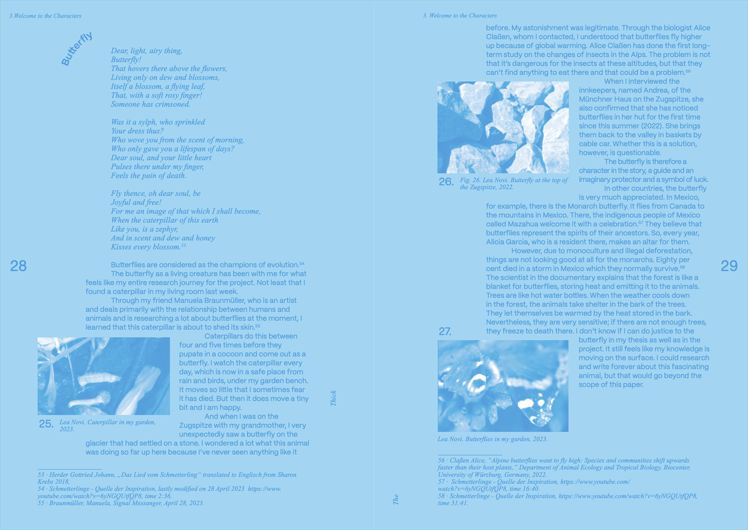 Layout