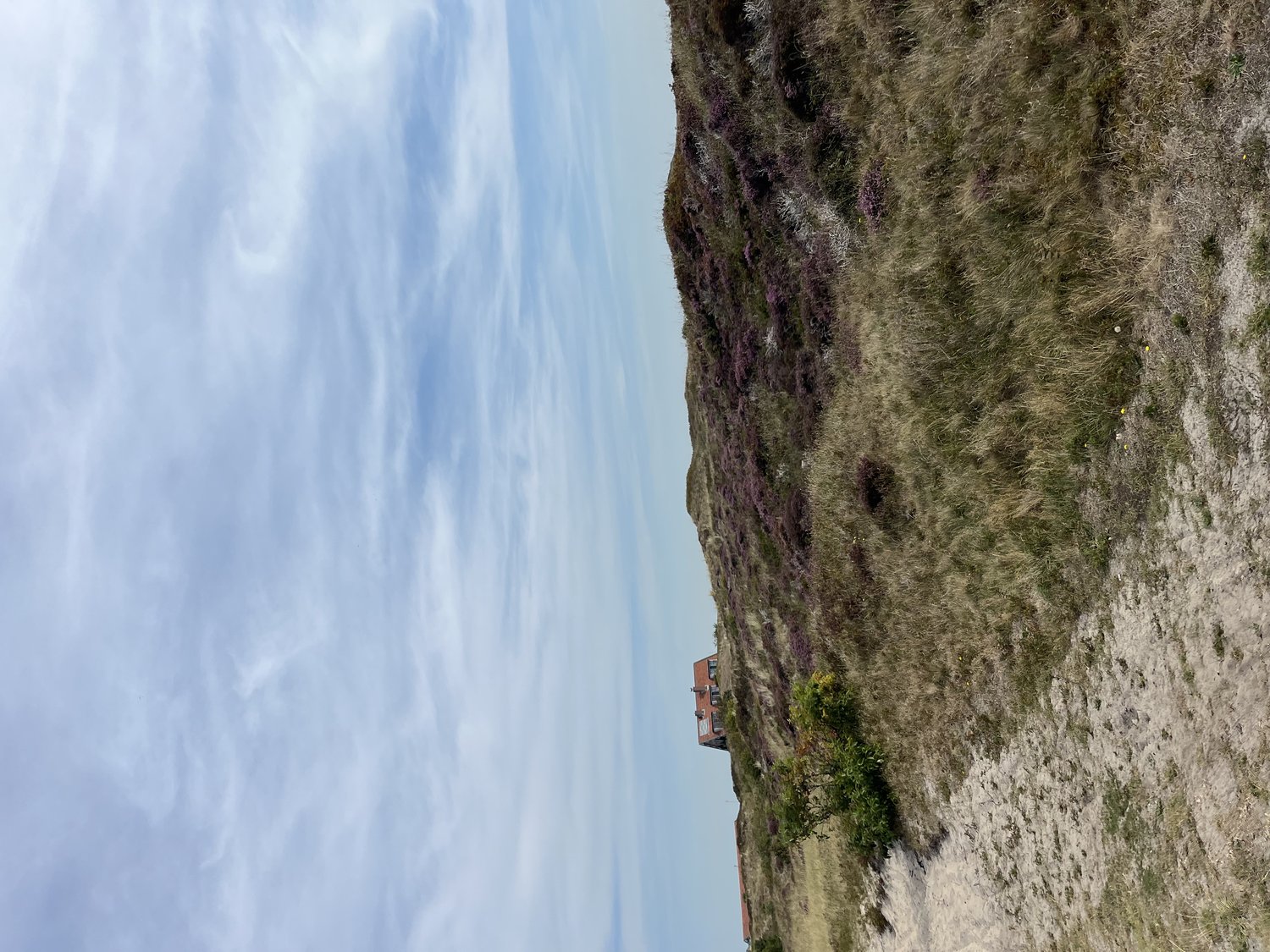 Texel_1