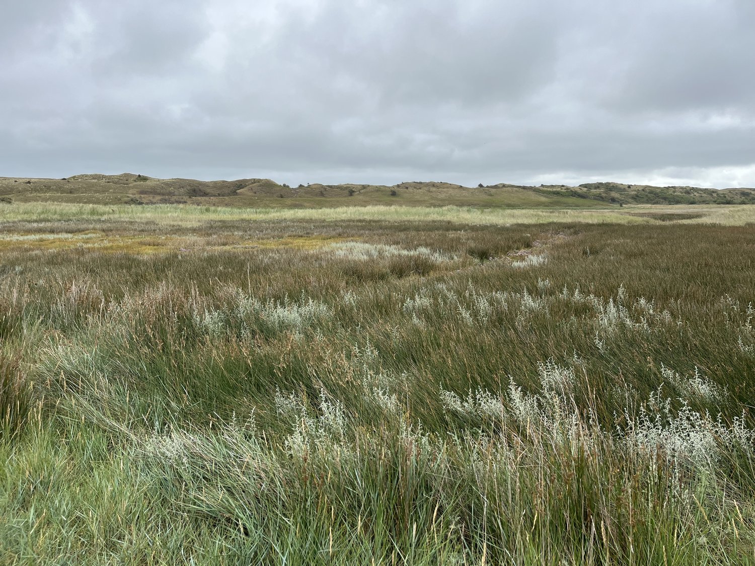 Texel_3