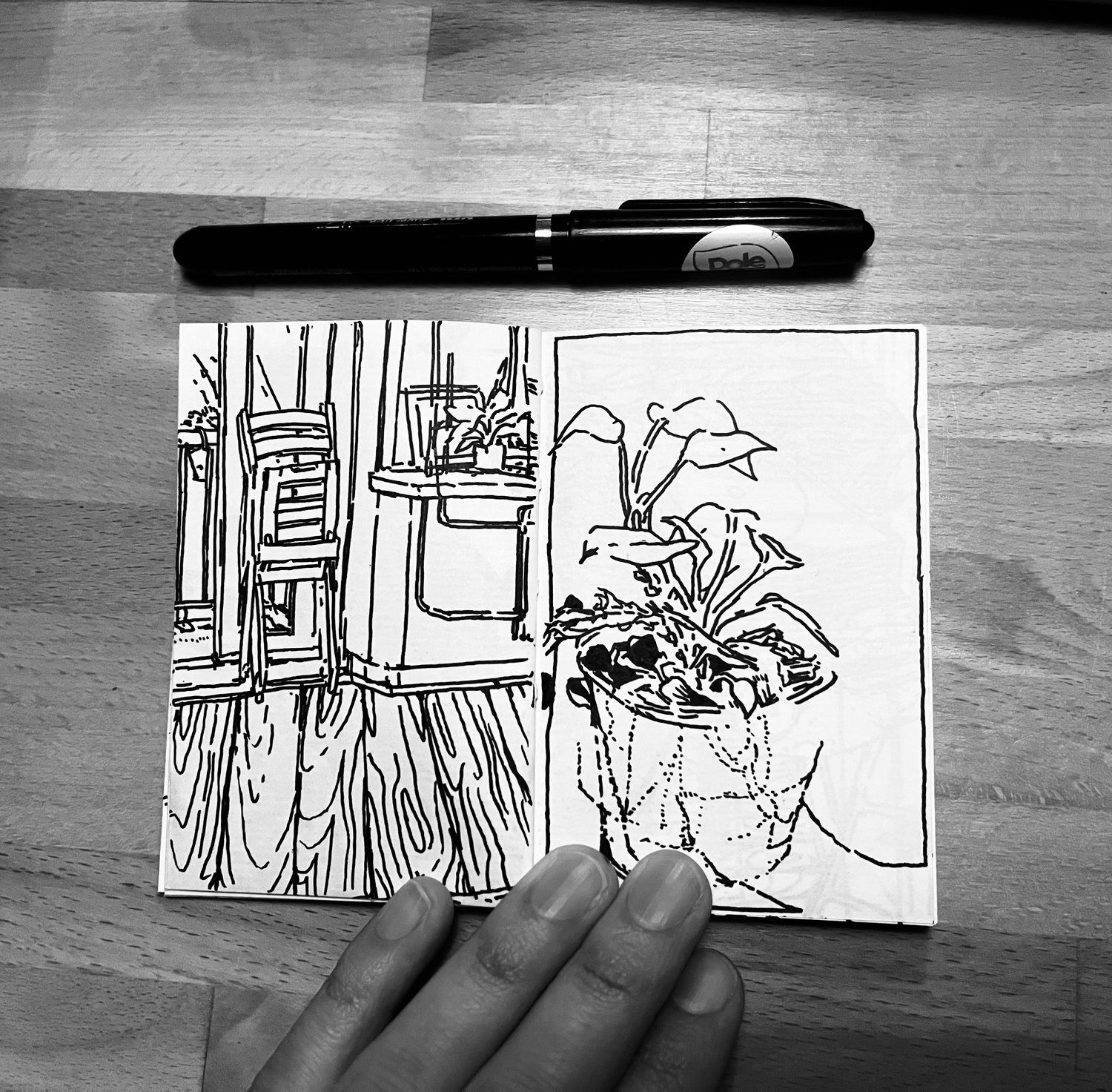 drawing